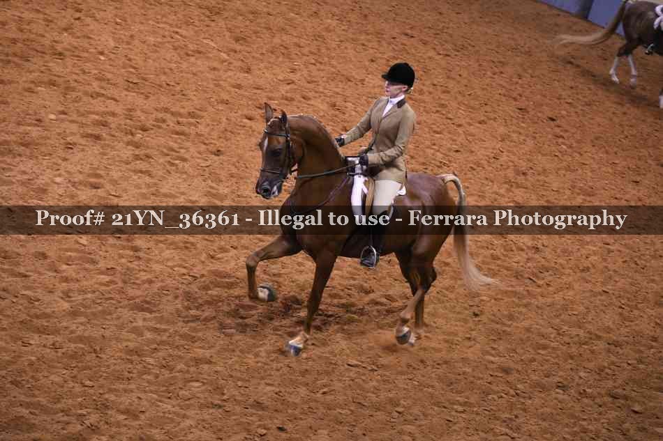 Proof 21YN_36361