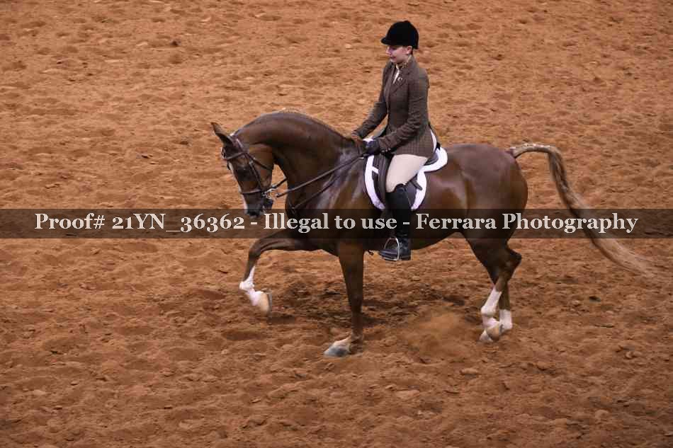Proof 21YN_36362