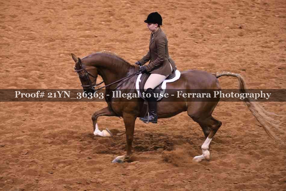 Proof 21YN_36363