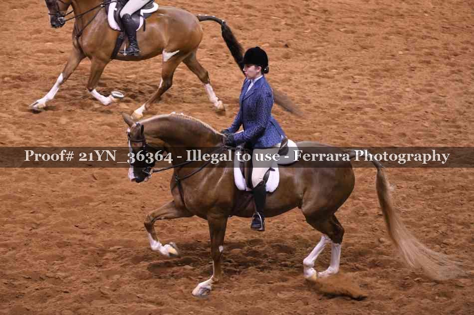 Proof 21YN_36364