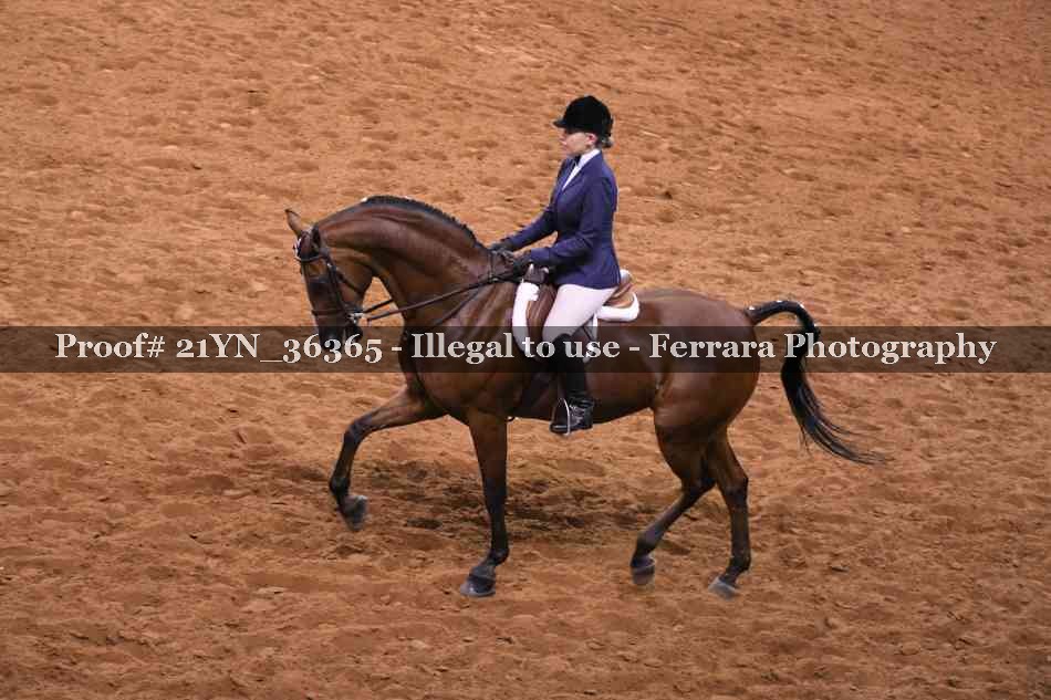 Proof 21YN_36365
