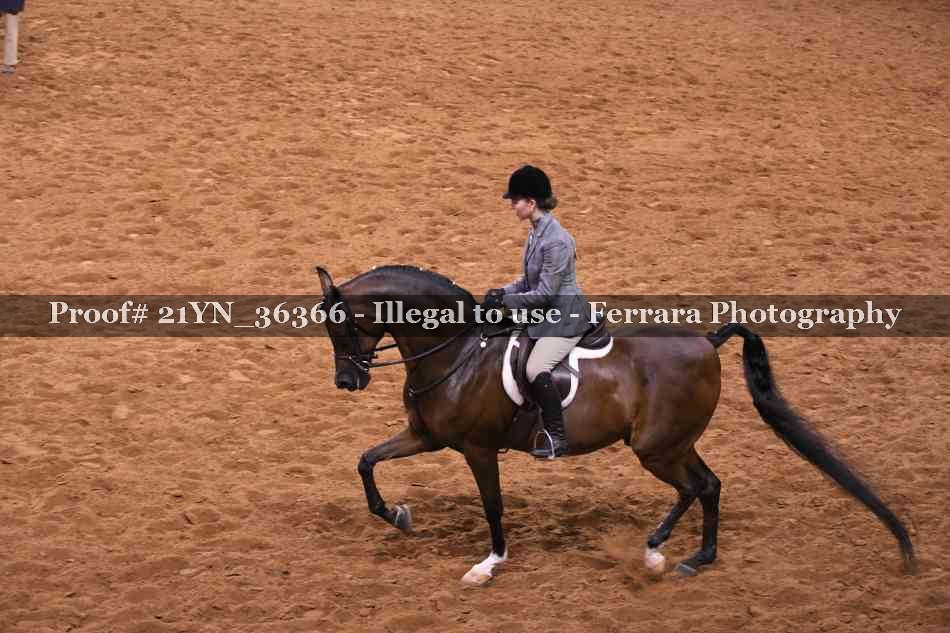 Proof 21YN_36366