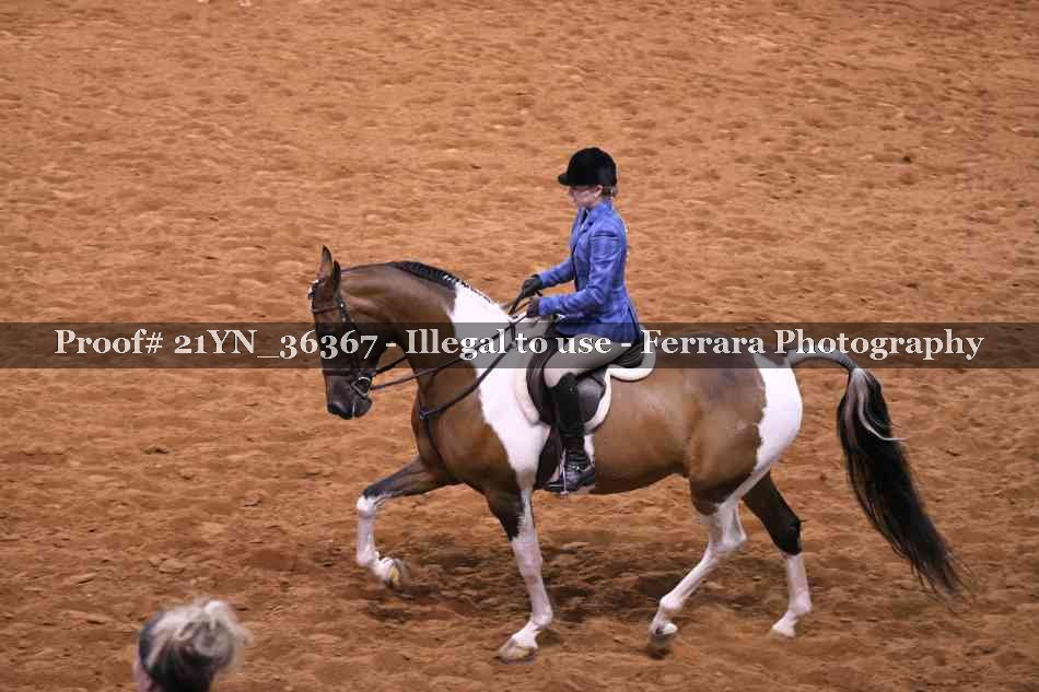 Proof 21YN_36367