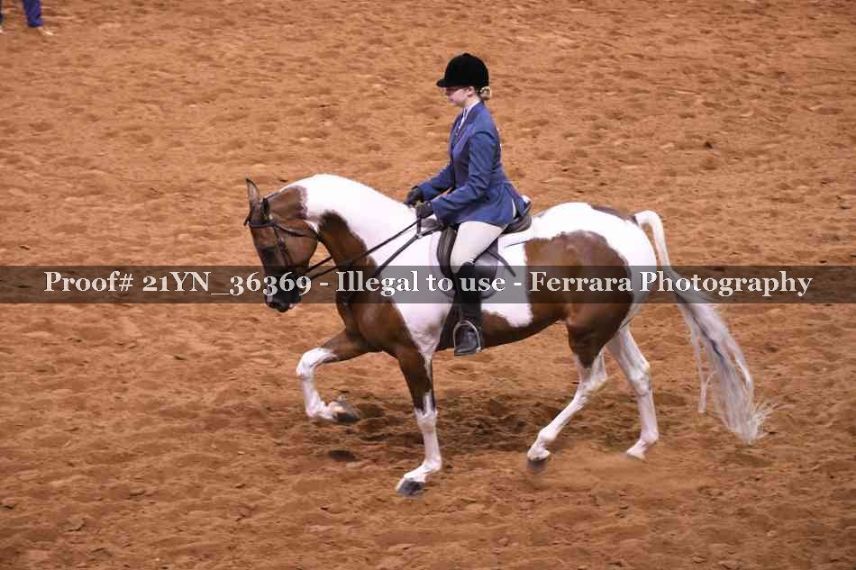 Proof 21YN_36369