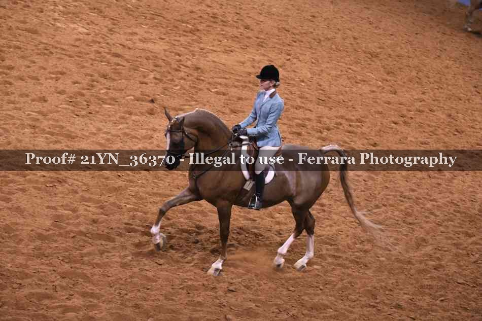 Proof 21YN_36370