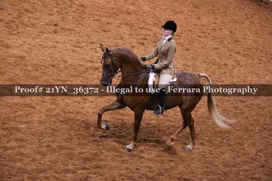 Proof 21YN_36372