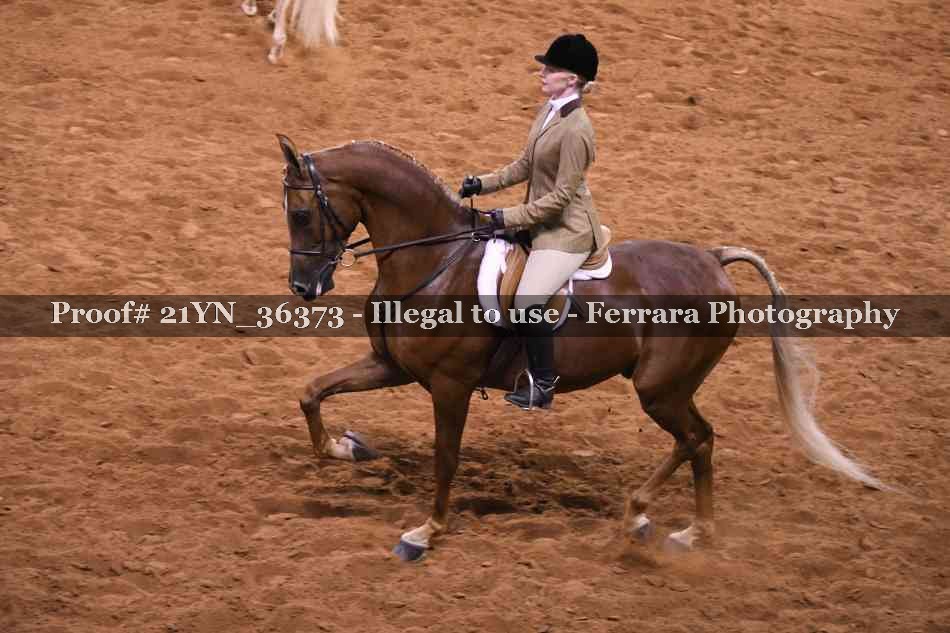 Proof 21YN_36373