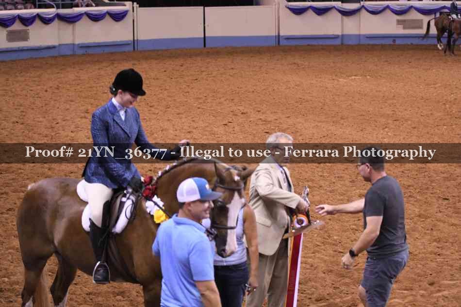 Proof 21YN_36377