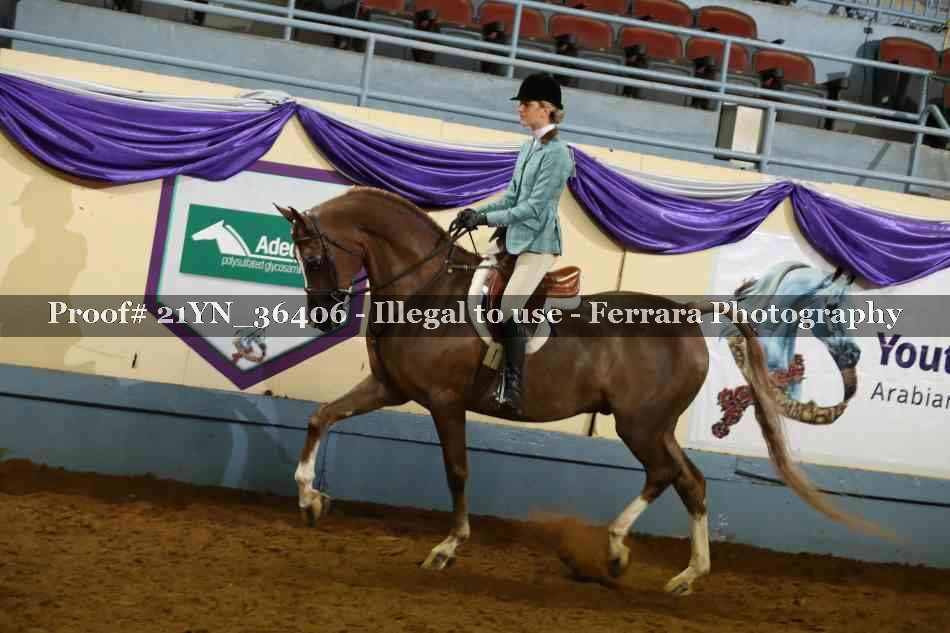 Proof 21YN_36406