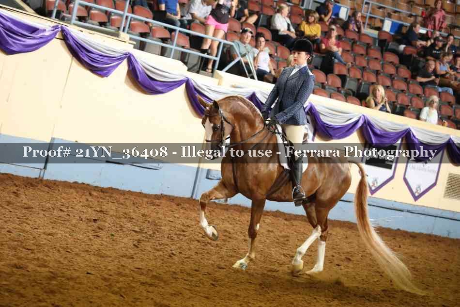 Proof 21YN_36408