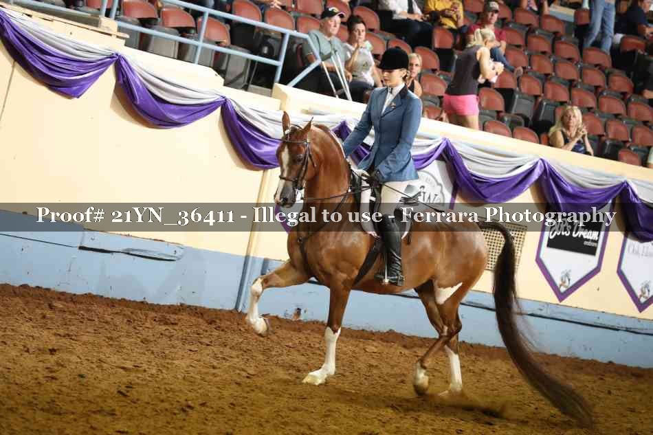 Proof 21YN_36411