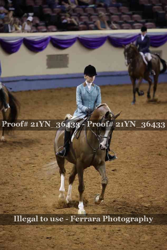 Proof 21YN_36433