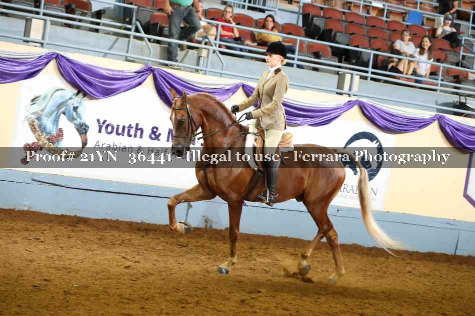 Proof 21YN_36441