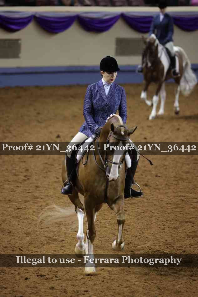 Proof 21YN_36442