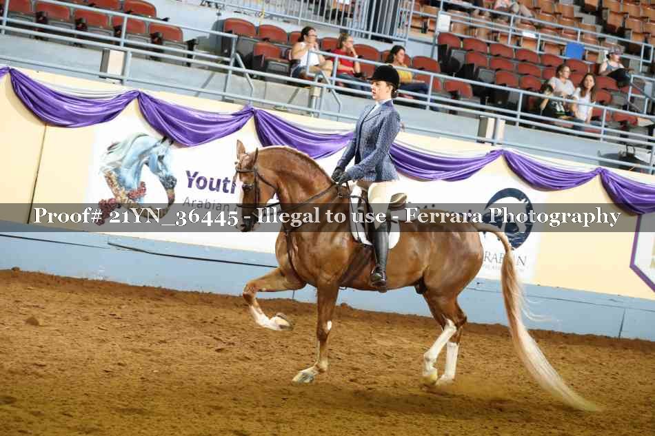 Proof 21YN_36445
