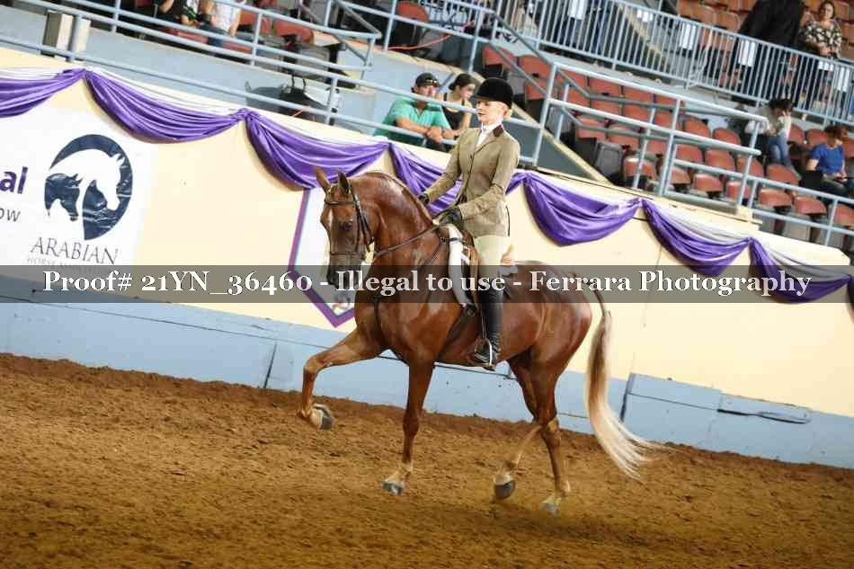 Proof 21YN_36460