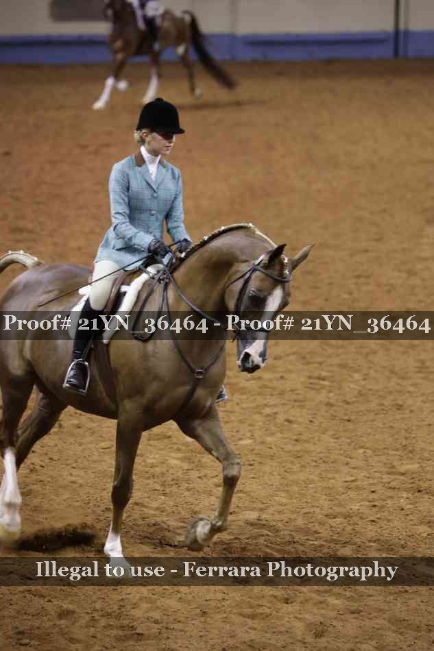 Proof 21YN_36464