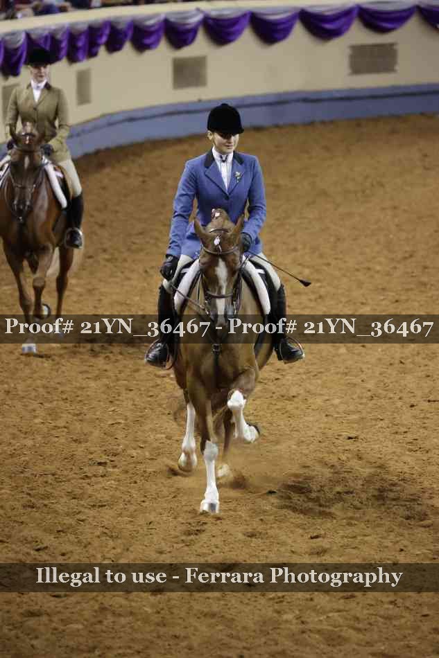 Proof 21YN_36467