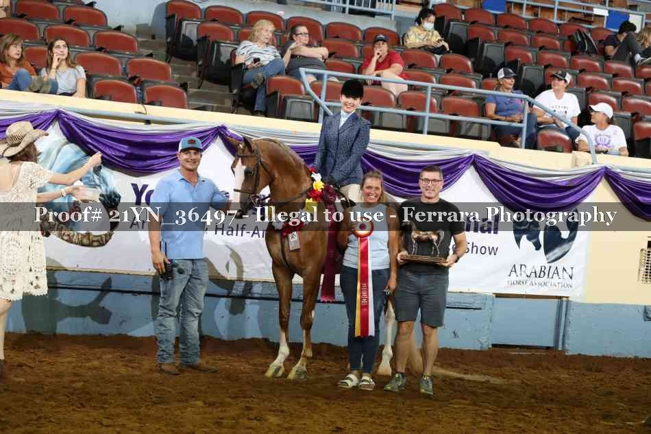 Proof 21YN_36497