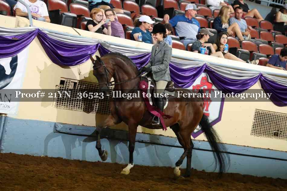 Proof 21YN_36523