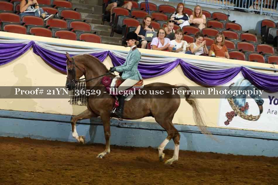 Proof 21YN_36529