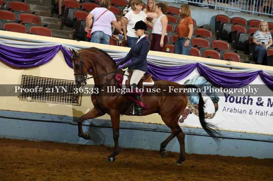 Proof 21YN_36533