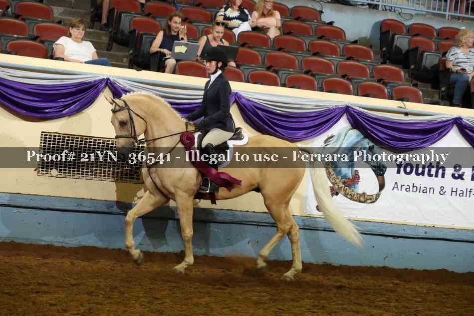 Proof 21YN_36541