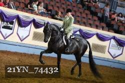 21YN_74432 proof
