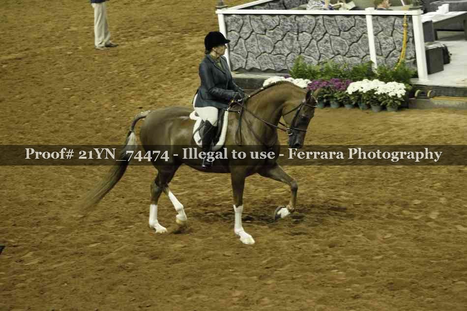 Proof 21YN_74474