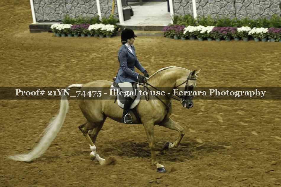 Proof 21YN_74475