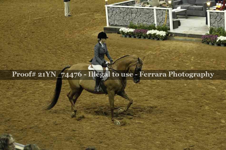 Proof 21YN_74476