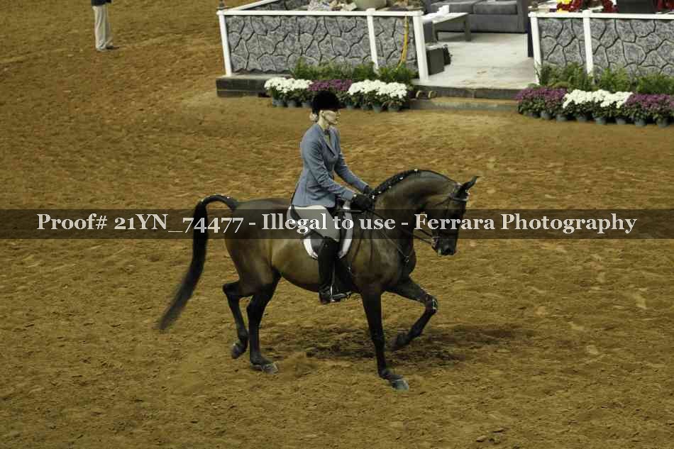 Proof 21YN_74477