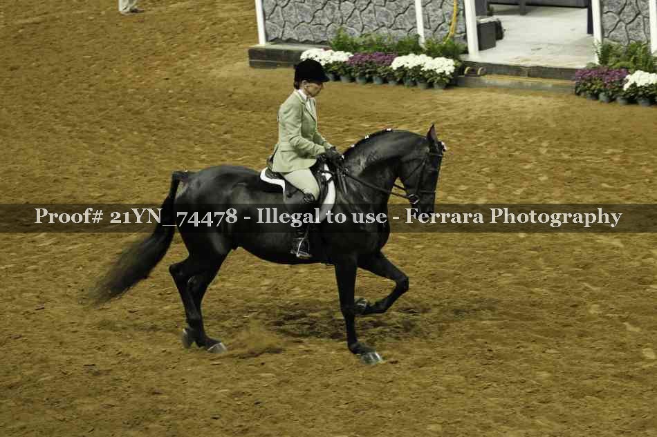 Proof 21YN_74478