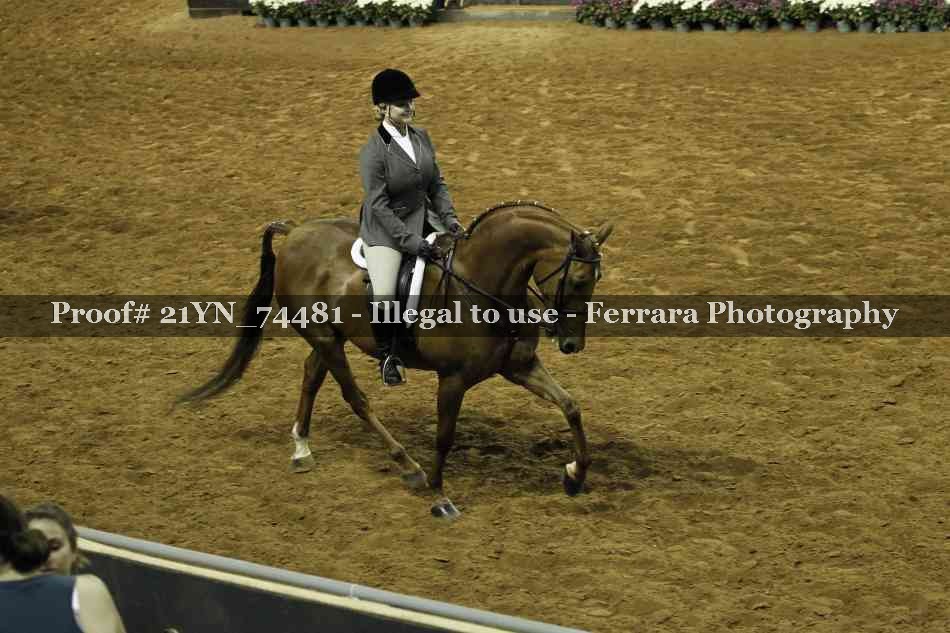 Proof 21YN_74481