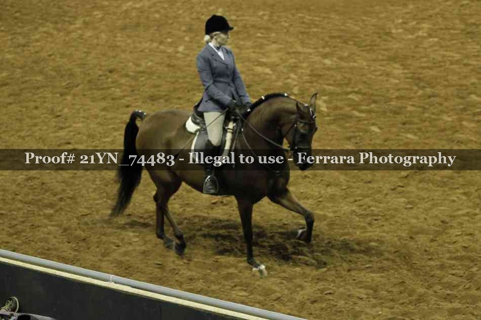 Proof 21YN_74483