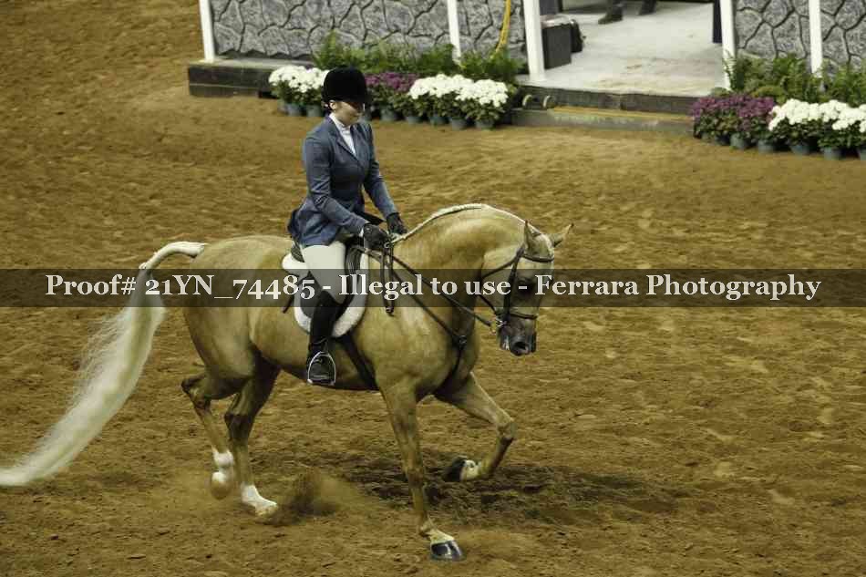 Proof 21YN_74485