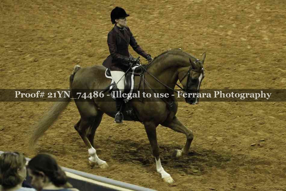 Proof 21YN_74486