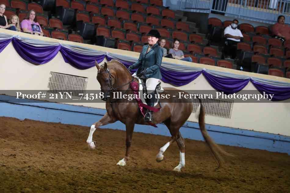 Proof 21YN_74518