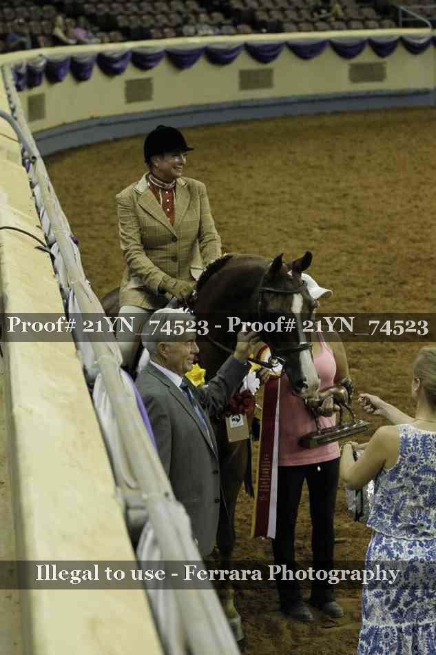 Proof 21YN_74523
