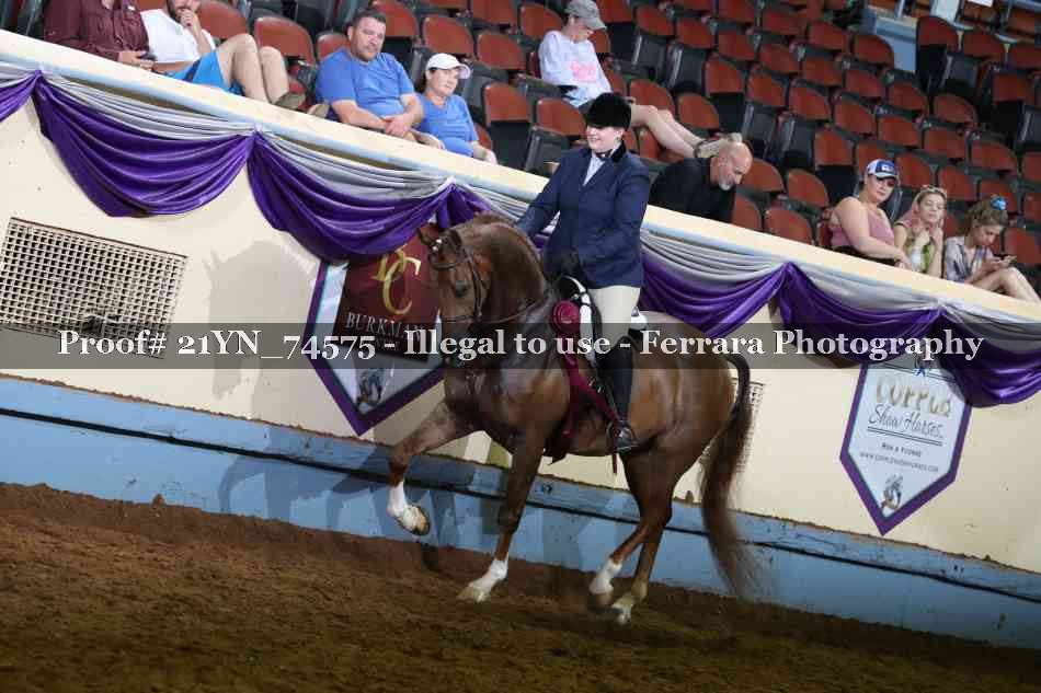Proof 21YN_74575