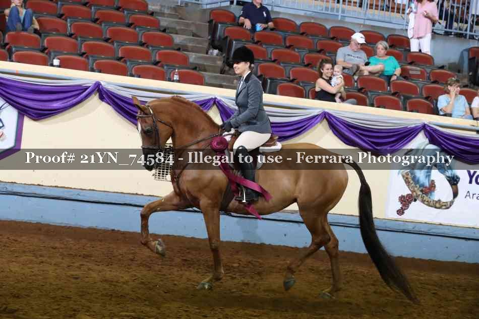 Proof 21YN_74584