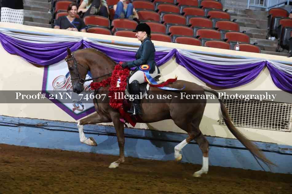 Proof 21YN_74607