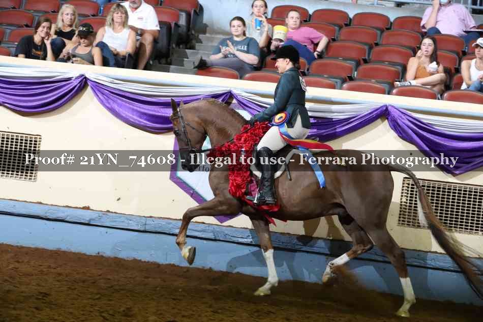 Proof 21YN_74608