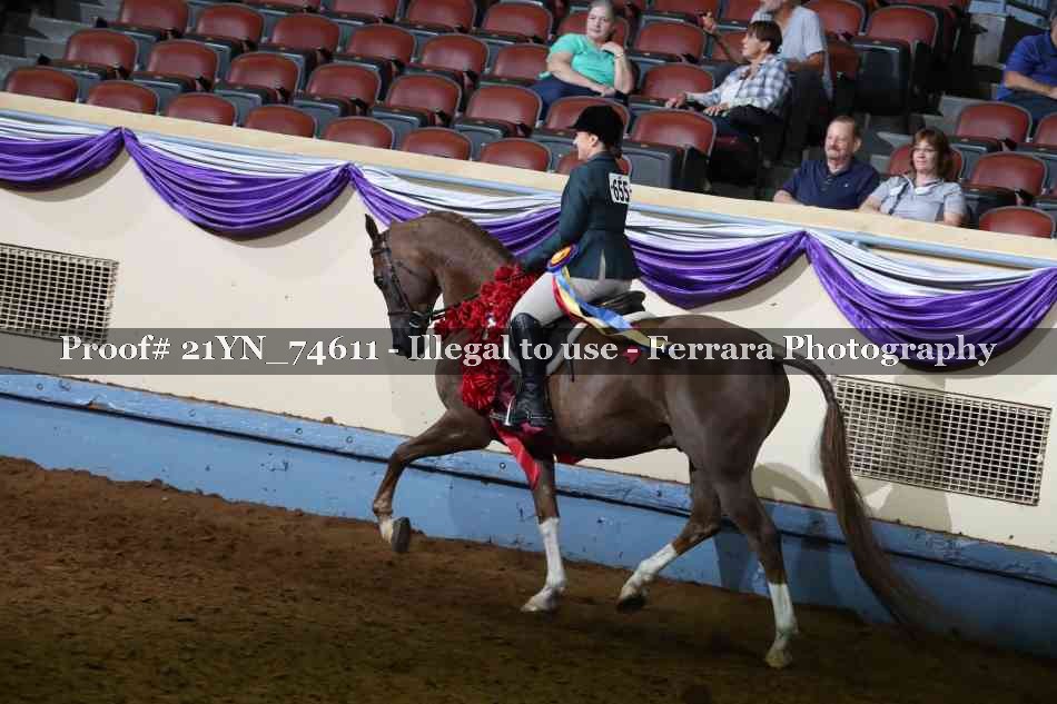 Proof 21YN_74611