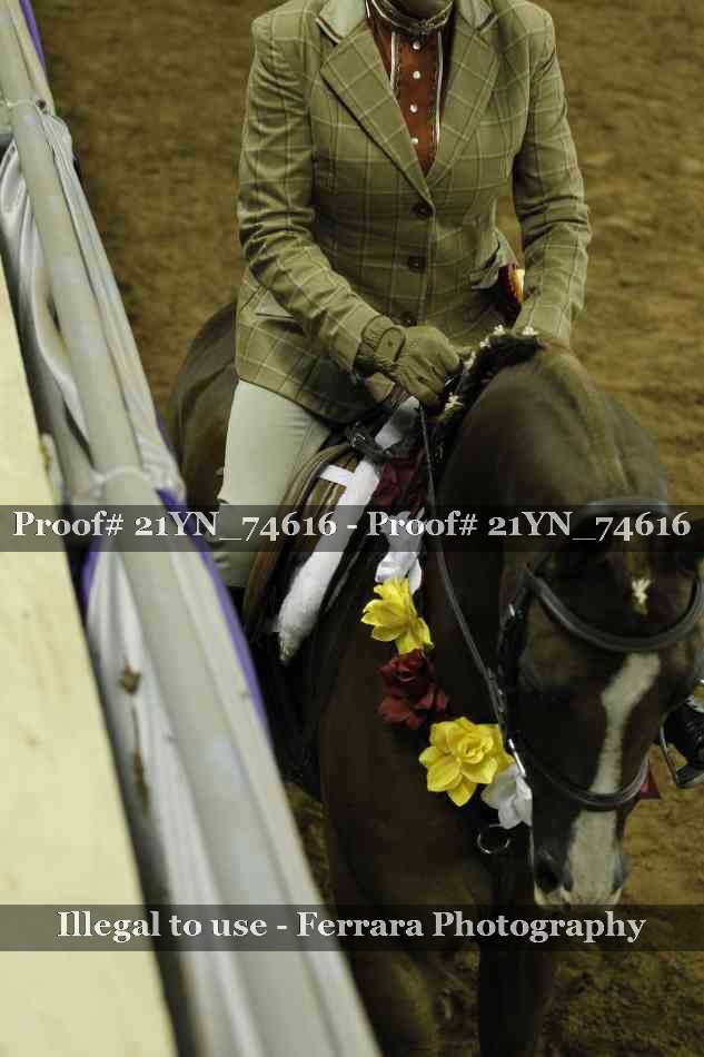 Proof 21YN_74616