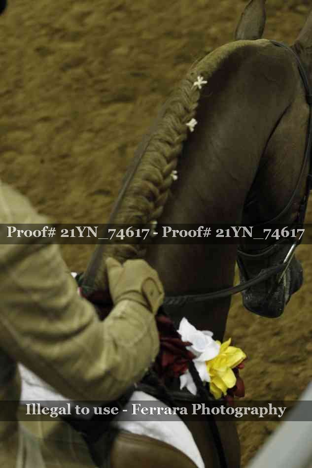 Proof 21YN_74617