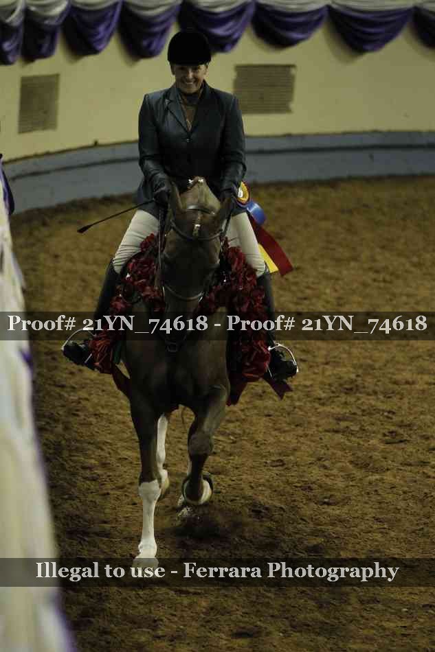 Proof 21YN_74618