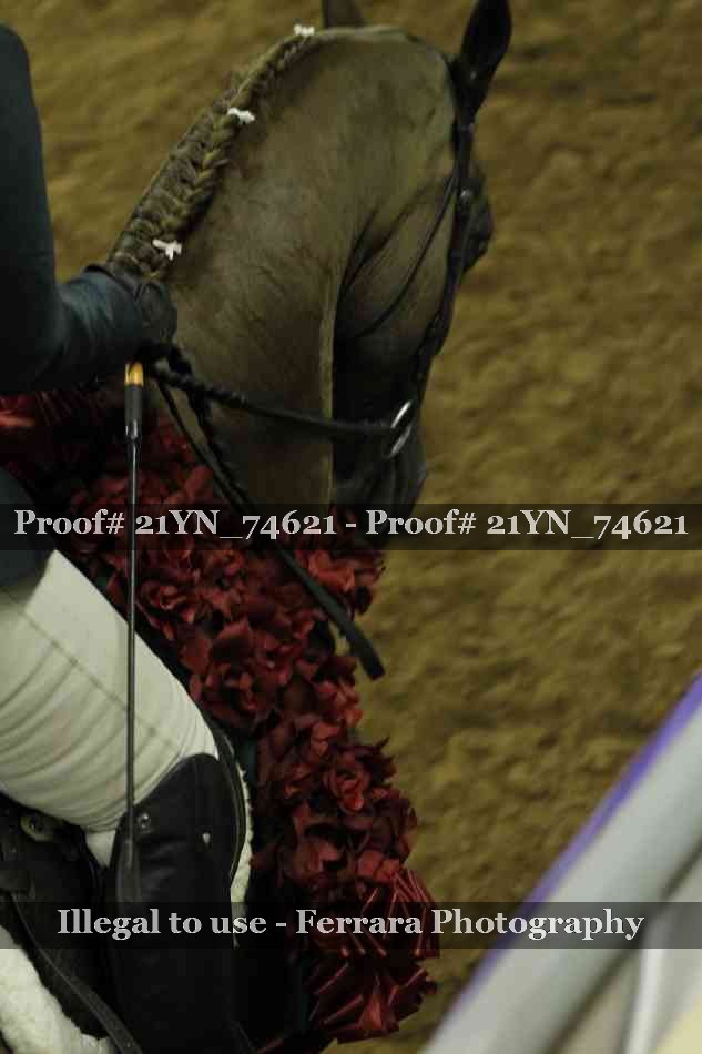 Proof 21YN_74621