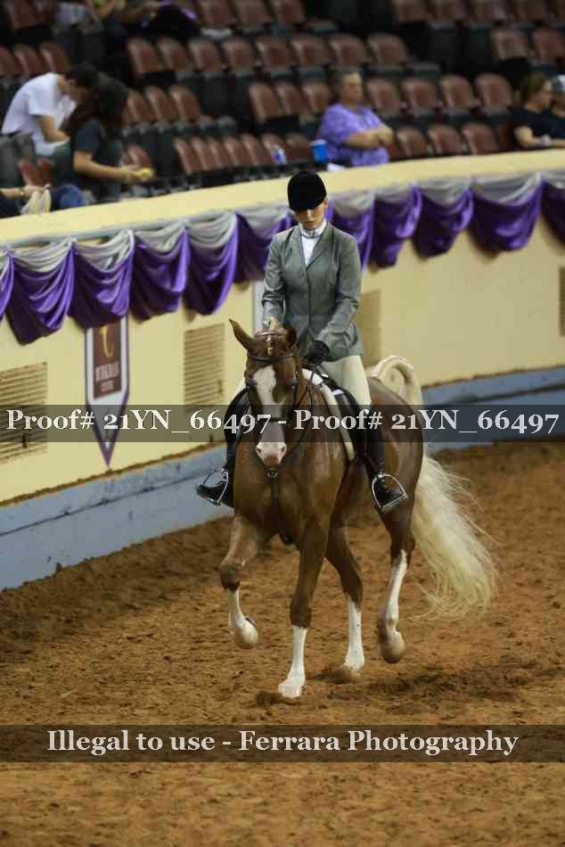 Proof 21YN_66497