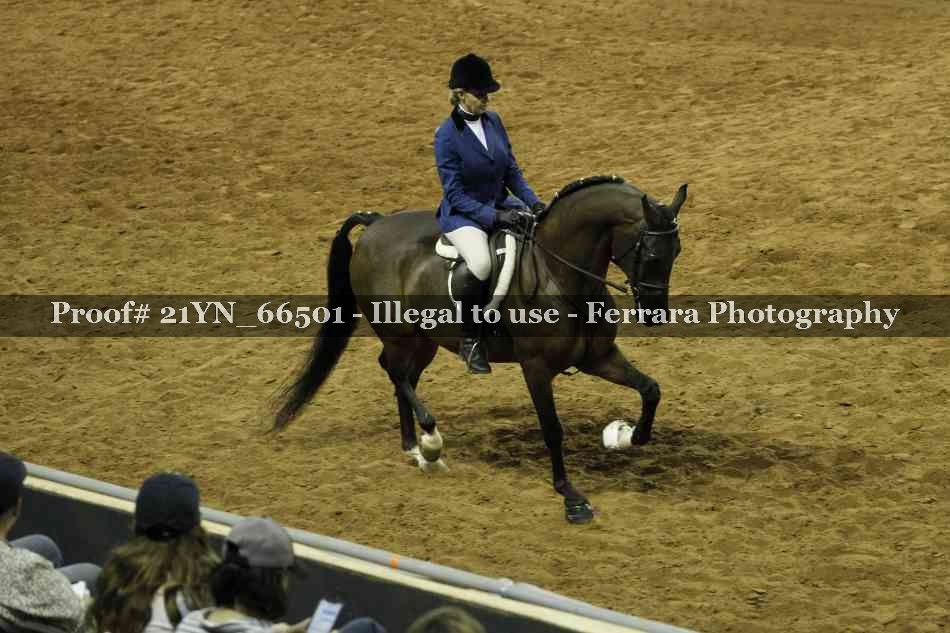 Proof 21YN_66501